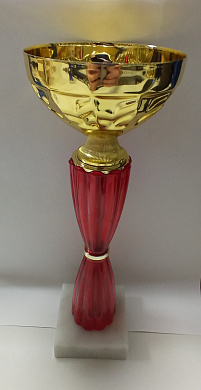 Кубок 9528-230-102 h-23 см зол/красн