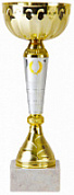 Кубок 9035 A h-26.5 см d-100